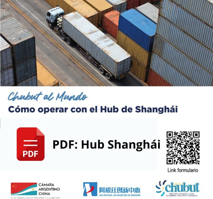 PDF- Hub de Shanghái