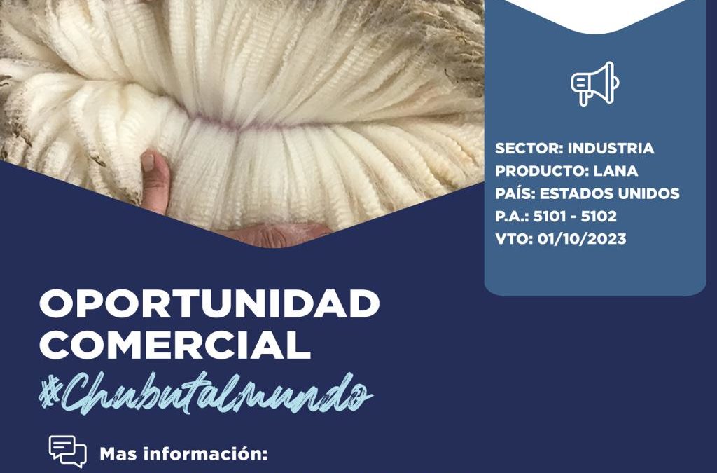Oportunidad Comercial – Sector industria / Estados Unidos
