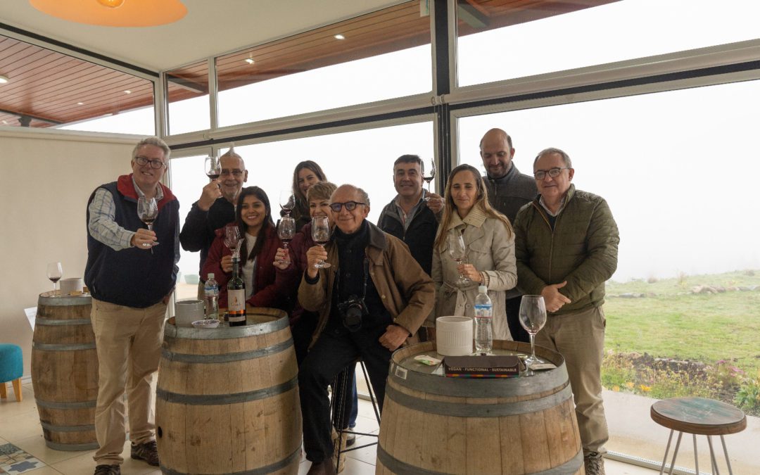 Profesionales, periodistas e influencers de Brasil, Perú, Paraguay, Costa Rica, Colombia y Ecuador visitaron bodegas y viñedos de Chubut.