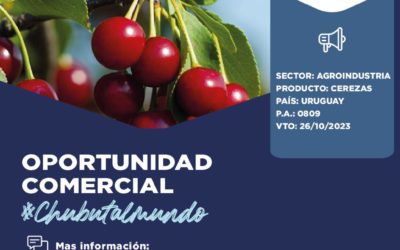 Oportunidad Comercial – Sector Agroindustrial/ Uruguay