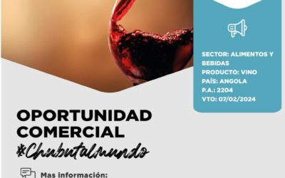 Oportunidad Comercial Sector Alimentos y Bebidas / Angola
