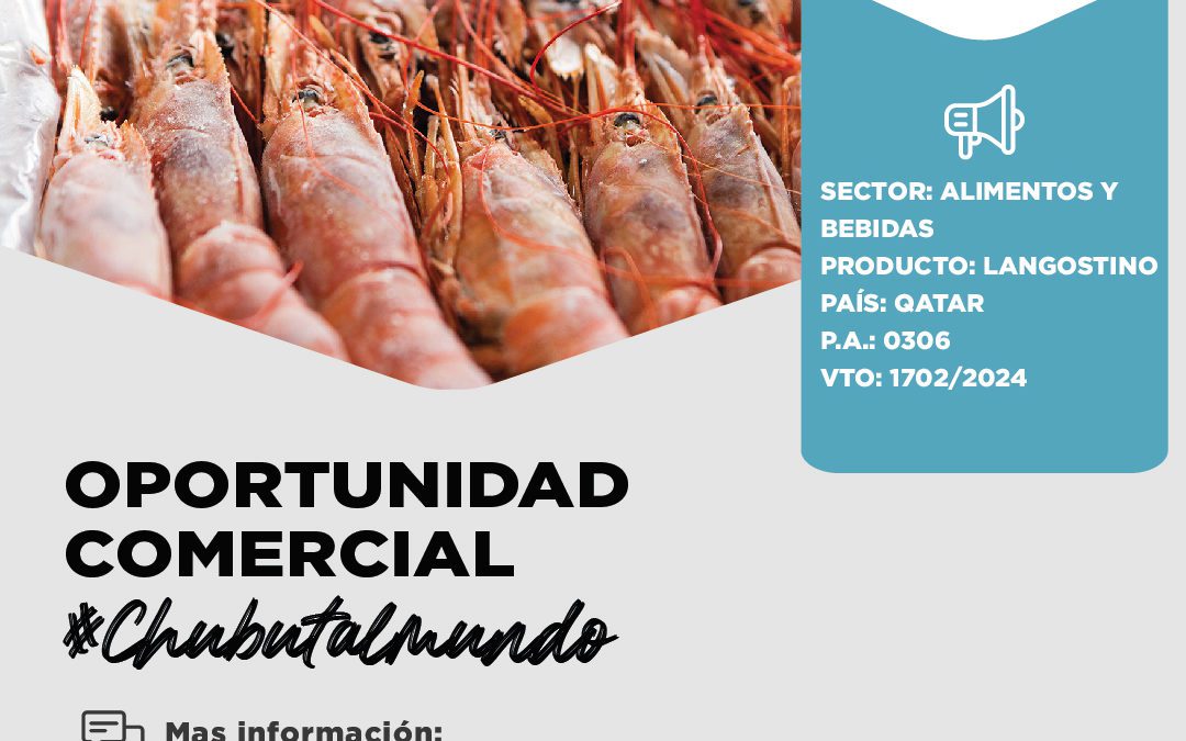 Oportunidad Comercial Sector Alimentos y Bebidas/Qatar