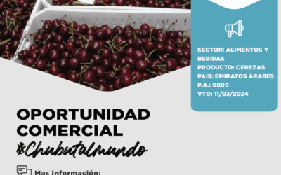 Oportunidad Comercial Sector Alimentos y Bebidas / Emiratos Árabes