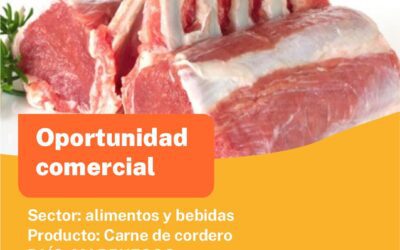 Oportunidad Comercial Sector Alimentos y Bebidas / Marruecos