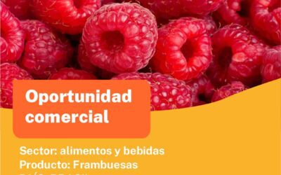 Oportunidad Comercial Sector Alimentos y Bebidas / Brasil