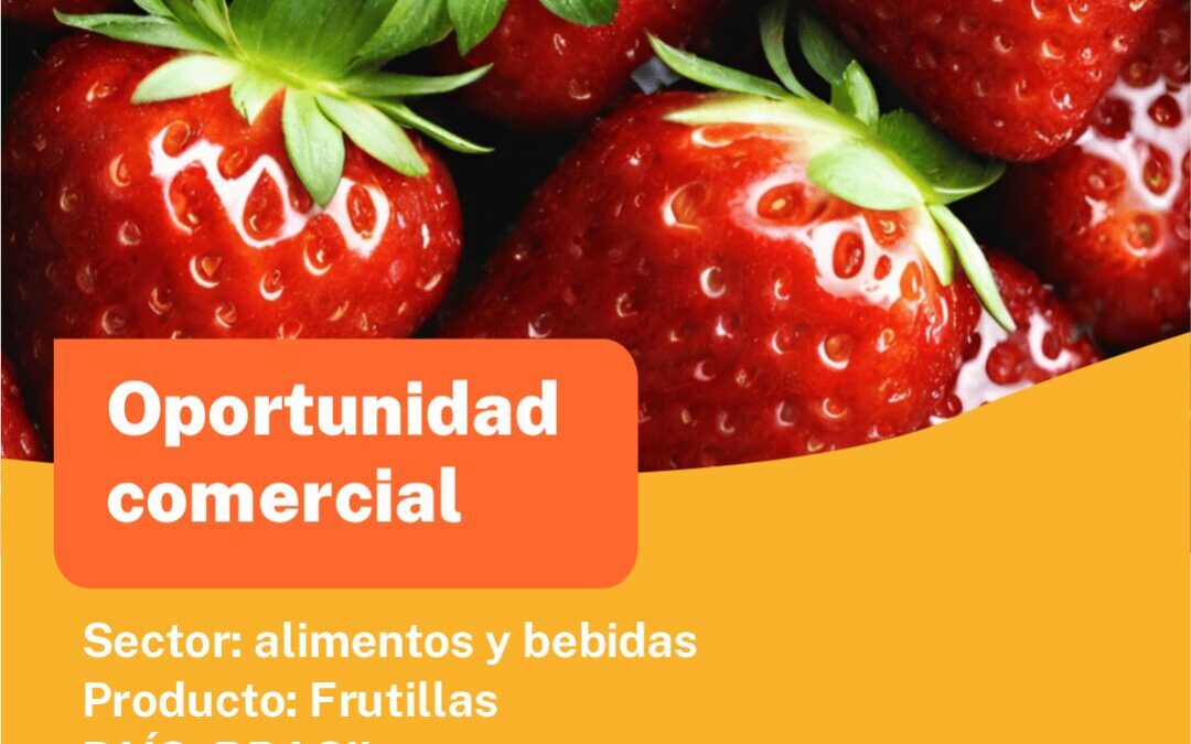 Oportunidad Comercial Sector Alimentos y Bebidas / Brasil