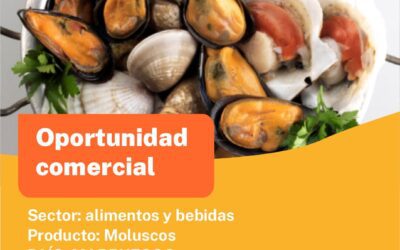 Oportunidad Comercial Sector Alimentos y Bebidas / Marruecos