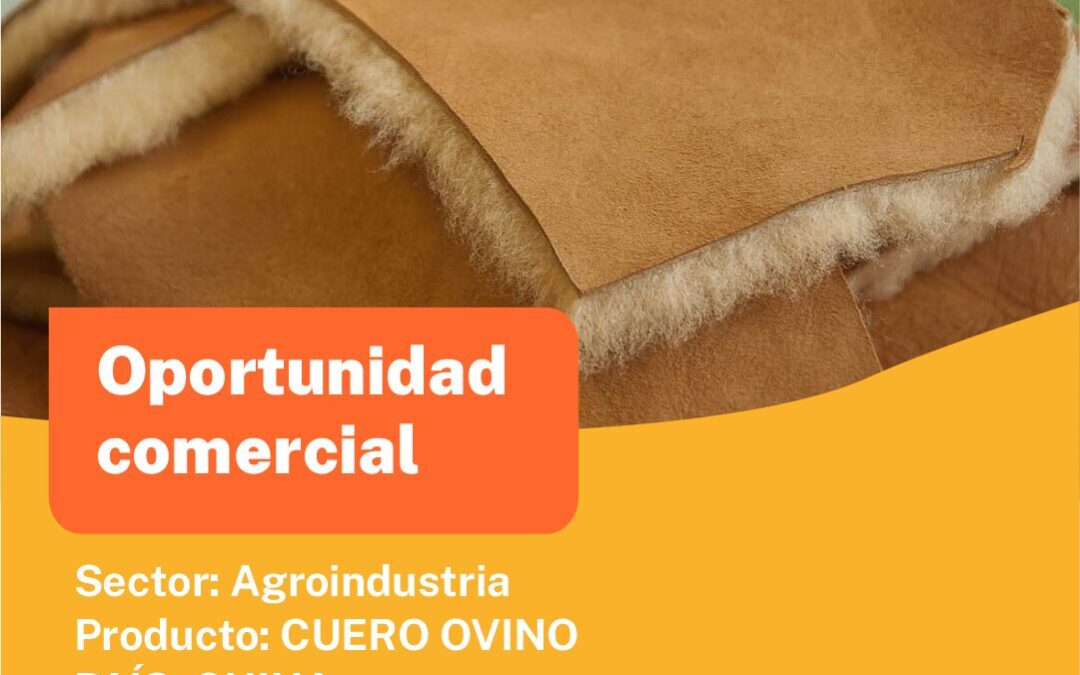 Oportunidad Comercial Sector Agro industria / China