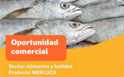 Oportunidad Comercial Sector Alimentos y Bebidas / Brasil