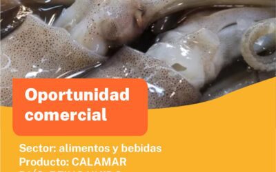 Oportunidad Comercial Sector Alimentos y Bebidas / Reino Unido