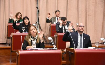 Torres destacó la aprobación de la ley que exime del Impuesto de Sellos a la constitución y capitalización de empresas en Chubut