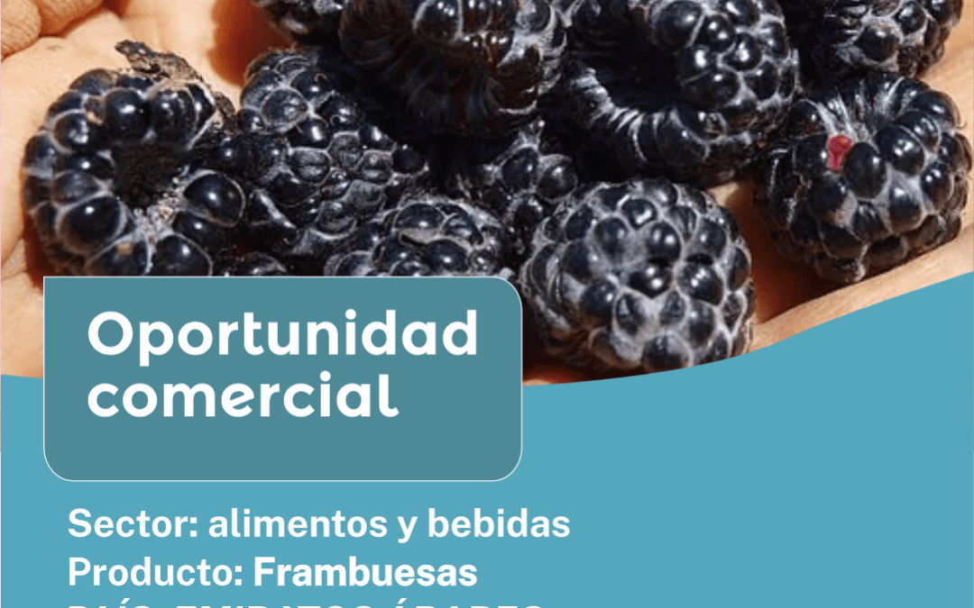 Oportunidad Comercial Sector Alimentos y Bebidas / Emiratos Árabes Unidos