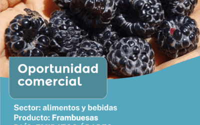 Oportunidad Comercial Sector Alimentos y Bebidas / Emiratos Árabes Unidos