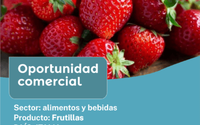 Oportunidad Comercial Sector Alimentos y Bebidas / Italia