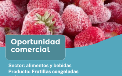 Oportunidad Comercial Sector Alimentos y Bebidas / Brasil