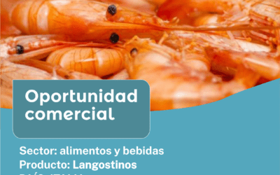 Oportunidad Comercial Sector Alimentos y Bebidas / Italia