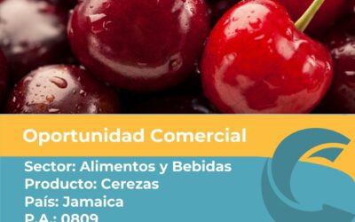 Oportunidad Comercial Sector Alimentos y Bebidas / Jamaica