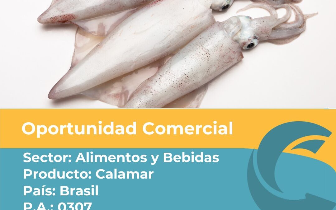 Oportunidad Comercial Sector Alimentos y Bebidas / Brasil