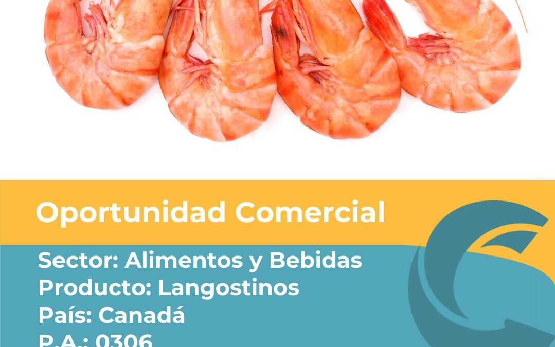 Oportunidad Comercial Sector Alimentos y Bebidas / Canada