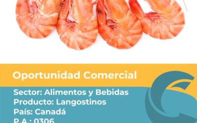 Oportunidad Comercial Sector Alimentos y Bebidas / Canada