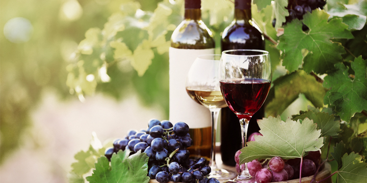 Presentación del Plan Vitivinícola dela Provincia del Chubut