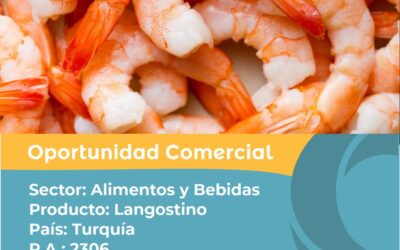 Oportunidad Comercial Sector Alimentos y Bebidas / Turquía