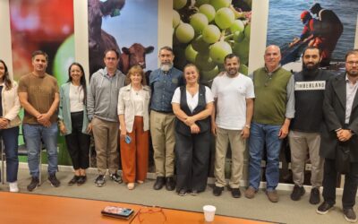 Con una agenda activa de comercio exterior, Chubut impulsa nuevas oportunidades para la producción ovina