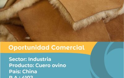 Oportunidad Comercial Sector Industria / China