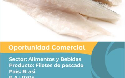 Oportunidad Comercial Sector Alimentos y Bebidas / Brasil