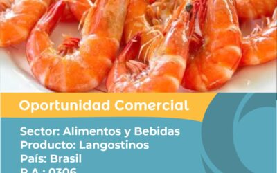 Oportunidad Comercial Sector Alimentos y Bebidas / Brasil