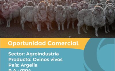 Oportunidad Comercial Sector Agroindustria / Argelia