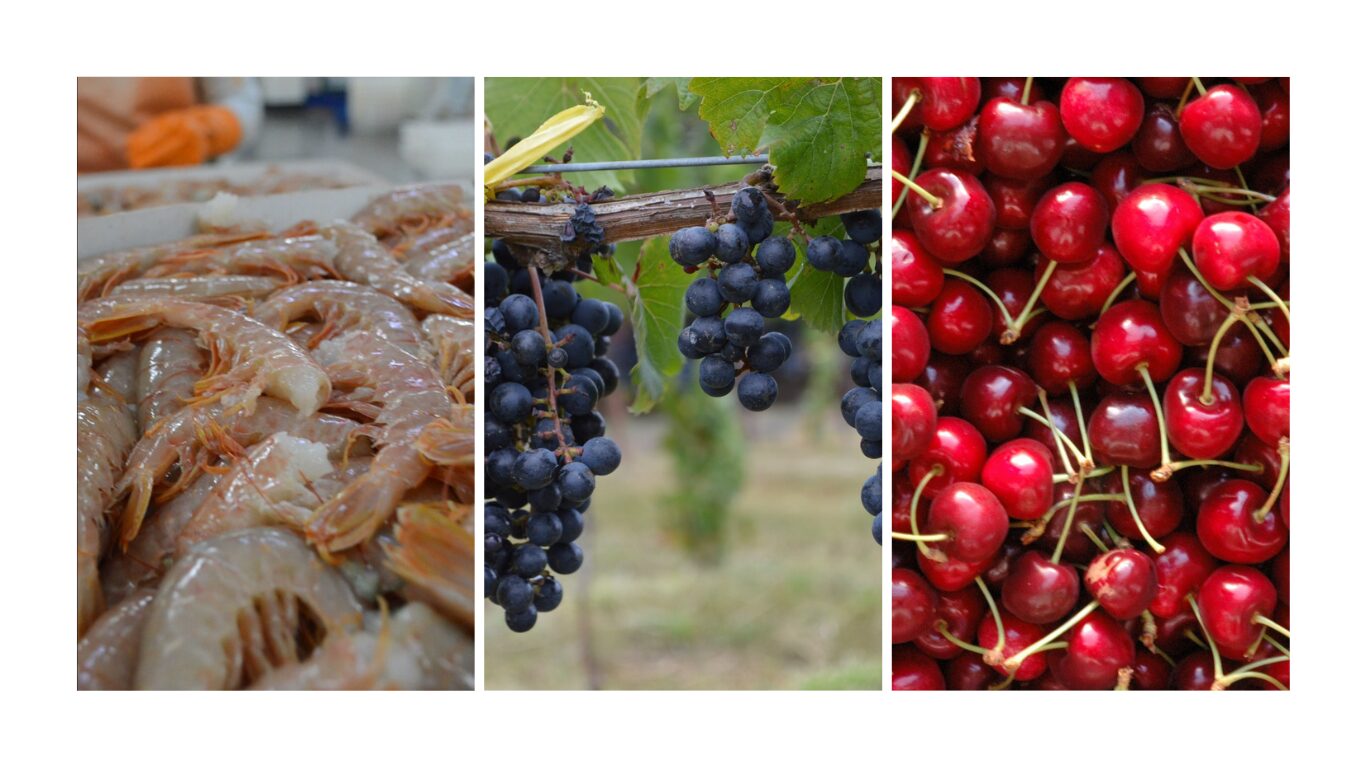 Galería De 3 Imágenes