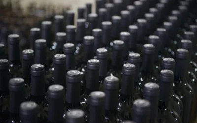 Redefinen el reconocimiento de Indicaciones Geográficas del Mercosur para vinos y fortalecen el rol del INV