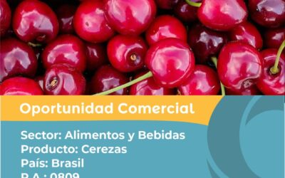 Oportunidad Comercial Sector Alimentos y Bebidas / Brasil