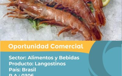 Oportunidad Comercial Sector Alimentos y Bebidas / Brasil