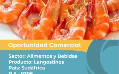 Oportunidad Comercial Sector Alimentos y Bebidas / Sudáfrica