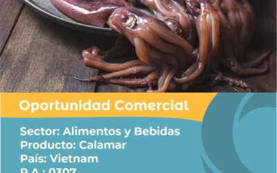 Oportunidad Comercial Sector Alimentos y Bebidas / Vietnam