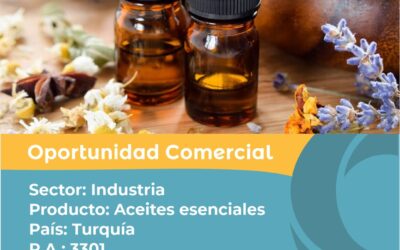 Oportunidad Comercial Sector Industria / Turquía