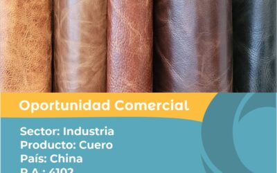 Oportunidad Comercial Sector Industria / China